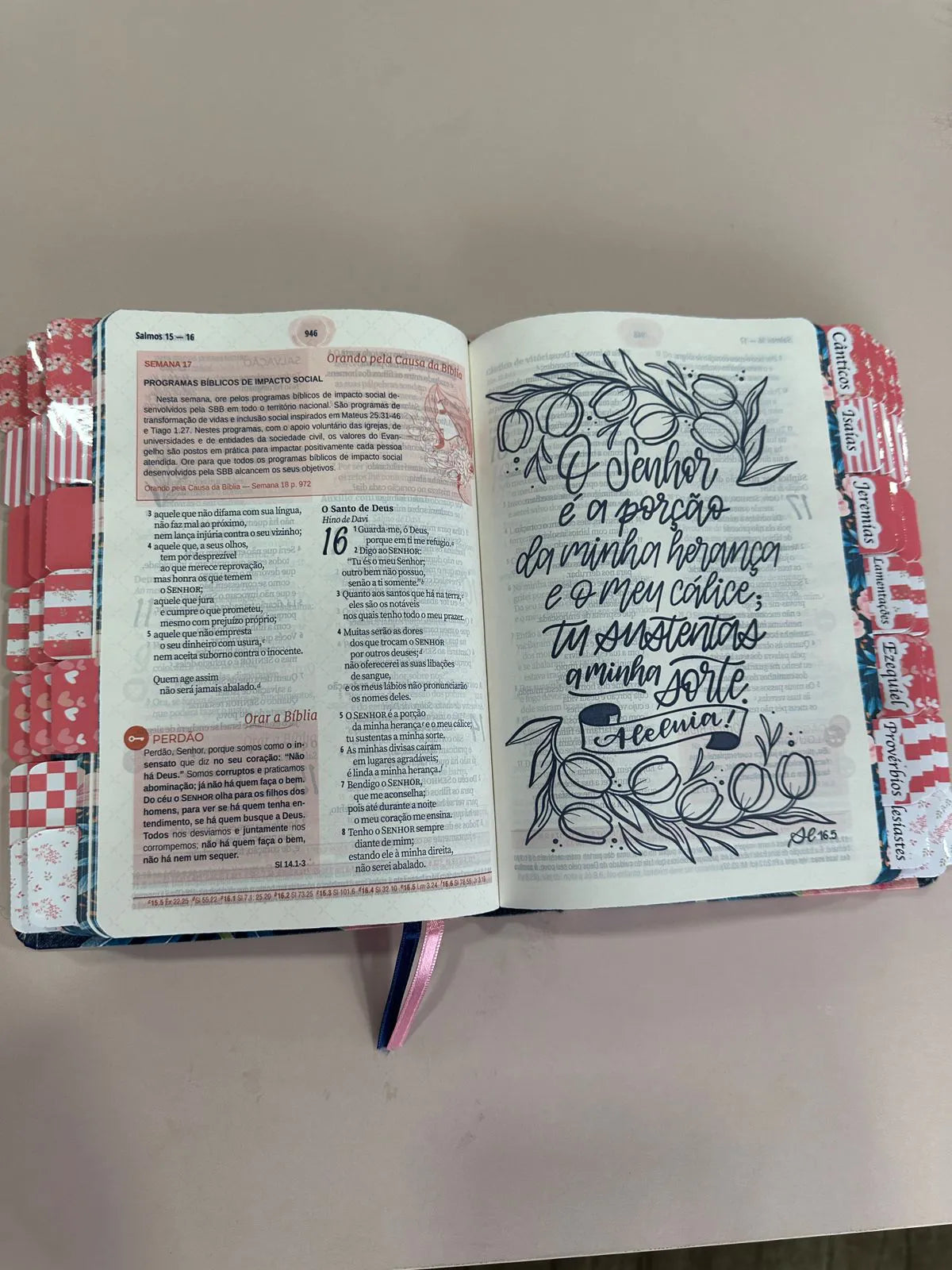 Bíblia Da Mulher Sábia - ESTUDO